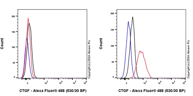 Flow Cytometry (Intracellular) - Anti-CTGF antibody [RM1199] (AB318148)