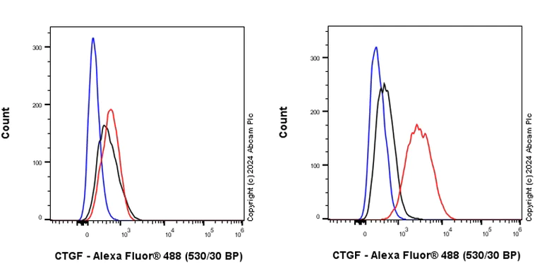 Flow Cytometry (Intracellular) - Anti-CTGF antibody [RM1199] - BSA and Azide free (AB318149)