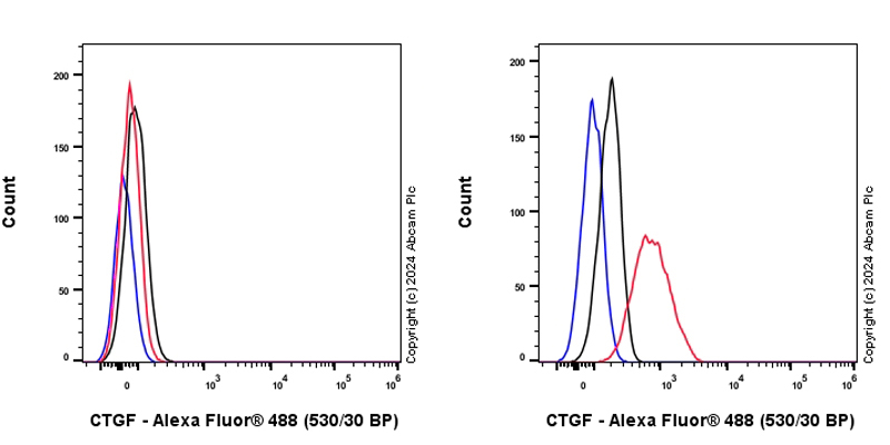 Flow Cytometry (Intracellular) - Anti-CTGF antibody [RM1199] - BSA and Azide free (AB318149)