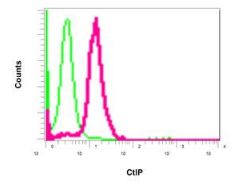 Flow Cytometry (Intracellular) - Anti-CtIP antibody [EPNCIR160] - BSA and Azide free (AB249233), expandable thumbnail