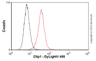 Flow Cytometry - Anti-Ctip1/BCL-11A antibody [18B12DE6] (AB19489), expandable thumbnail