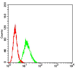 Flow Cytometry - Anti-Ctip2 antibody [1F8G8] (AB233713)