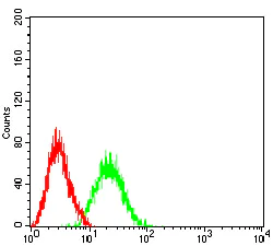 Flow Cytometry - Anti-Ctip2 antibody [1F8G8] (AB233713)
