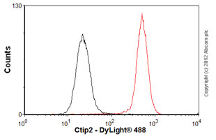 Flow Cytometry - Anti-Ctip2 antibody [25B6] (AB18465), expandable thumbnail