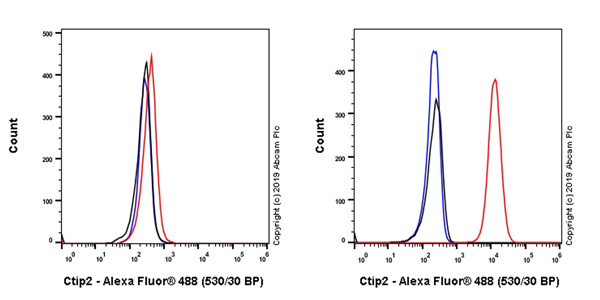 Flow Cytometry (Intracellular) - Anti-Ctip2 antibody [EPR23120-25] - BSA and Azide free (AB269367), expandable thumbnail