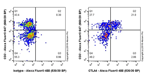 Flow Cytometry (Intracellular) - Anti-CTLA4 antibody [CAL49] (AB237712)