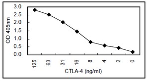Sandwich ELISA - Anti-CTLA4 antibody [KT56] (AB110650)
