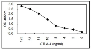 Sandwich ELISA - Anti-CTLA4 antibody [KT56] (AB110650)