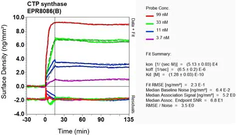 OI-RD Scanning - Anti-CTP synthase/CTPS antibody [EPR8086(B)] (AB133743)