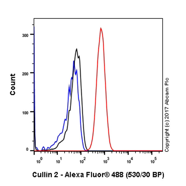 Flow Cytometry (Intracellular) - Anti-Cullin 2/CUL-2 antibody [EPR3104(2)] (AB166917)