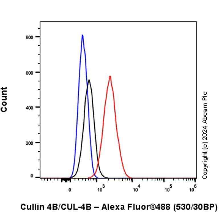 Flow Cytometry (Intracellular) - Anti-Cullin 4B/CUL-4B antibody [EPR26157-39] - BSA and Azide free (AB317015)
