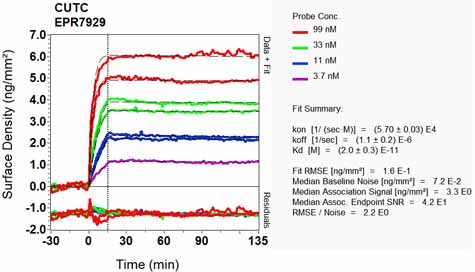 OI-RD Scanning - Anti-CUTC antibody [EPR7929] - BSA and Azide free (AB248644), expandable thumbnail
