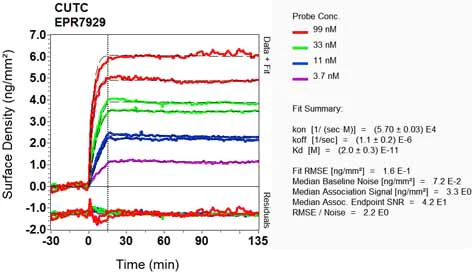 OI-RD Scanning - Anti-CUTC antibody [EPR7929] - BSA and Azide free (AB248644)
