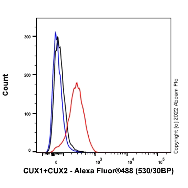 Flow Cytometry (Intracellular) - Anti-CUX1+CUX2 antibody [EPR26509-154] (AB309139)
