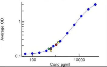 ELISA - Anti-CX3CL1 antibody [RP23040166] (AB308001)