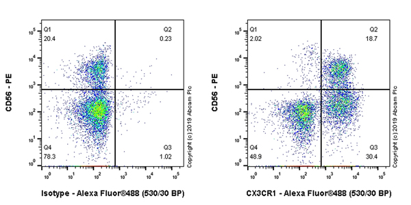 Flow Cytometry - Anti-CX3CR1 antibody [EPR22354-15] (AB245248), expandable thumbnail