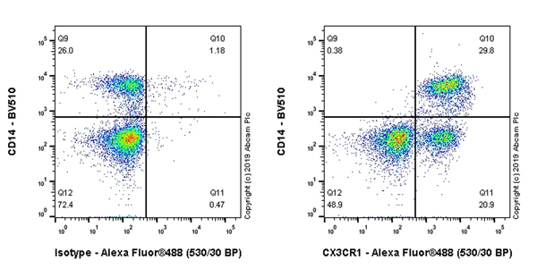 Flow Cytometry - Anti-CX3CR1 antibody [EPR22354-15] - BSA and Azide free (AB267834)