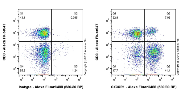 Flow Cytometry - Anti-CX3CR1 antibody [EPR22354-15] - BSA and Azide free (AB267834), expandable thumbnail