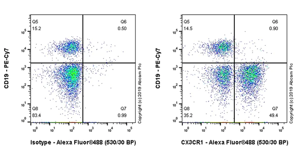 Flow Cytometry - Anti-CX3CR1 antibody [EPR22354-15] - BSA and Azide free (AB267834)
