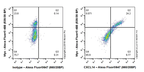 Flow Cytometry (Intracellular) - Anti-CXCL14 antibody [EPR22807-28] - BSA and Azide free (AB264476)