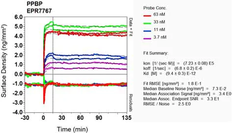 OI-RD Scanning - Anti-CXCL7/PBP antibody [EPR7767] - BSA and Azide free (AB248427)