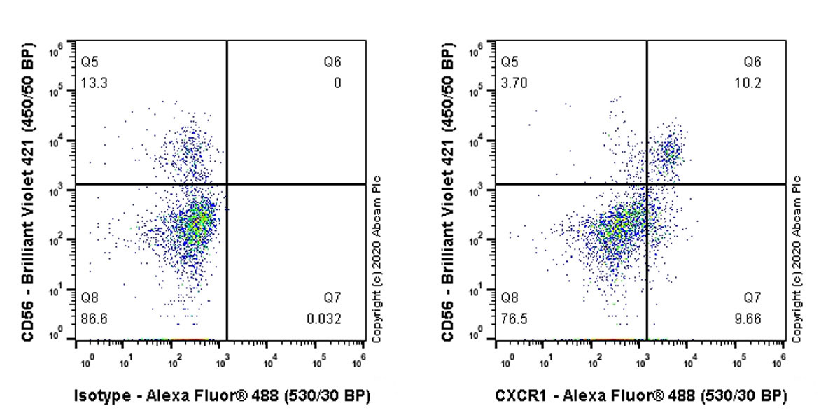 Flow Cytometry - Anti-CXCR1 antibody [EPR23700-70] - BSA and Azide free (AB273585), expandable thumbnail