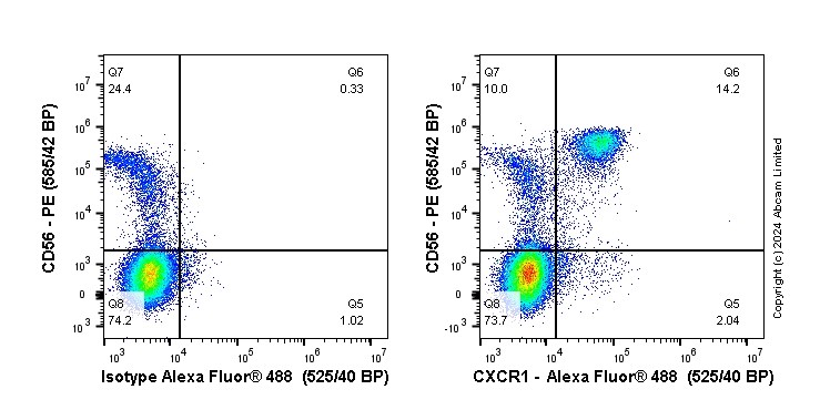Flow Cytometry - Anti-CXCR1 antibody [EPR23700-70] - BSA and Azide free (AB273585), expandable thumbnail