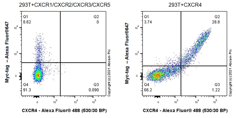 Flow Cytometry (Intracellular) - Anti-CXCR4 antibody [UMB2] (AB124824)