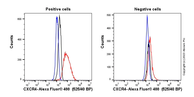 Flow Cytometry (Intracellular) - Anti-CXCR4 antibody [UMB2] (AB124824)