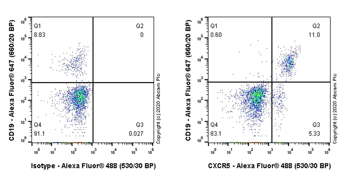 Flow Cytometry - Anti-CXCR5 antibody [EPR23463-30] (AB254415), expandable thumbnail