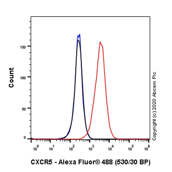 Flow Cytometry - Anti-CXCR5 antibody [EPR23463-30] (AB254415)