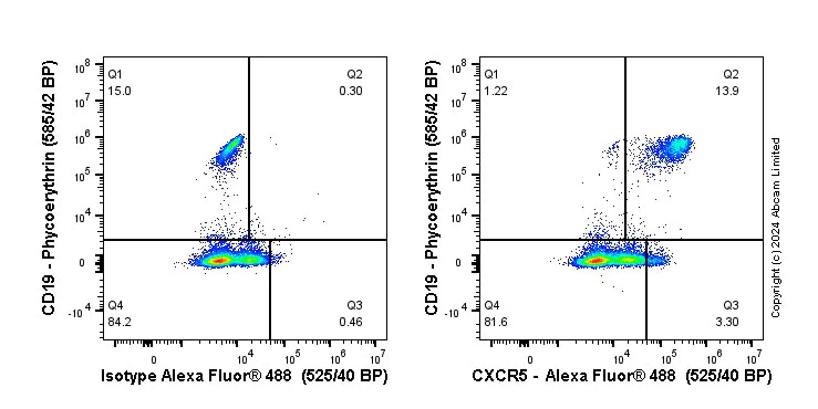 Flow Cytometry - Anti-CXCR5 antibody [EPR23463-30] (AB254415)