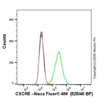 Flow Cytometry - Anti-CXCR5 antibody [EPR23463-30] - BSA and Azide free (AB272936), expandable thumbnail