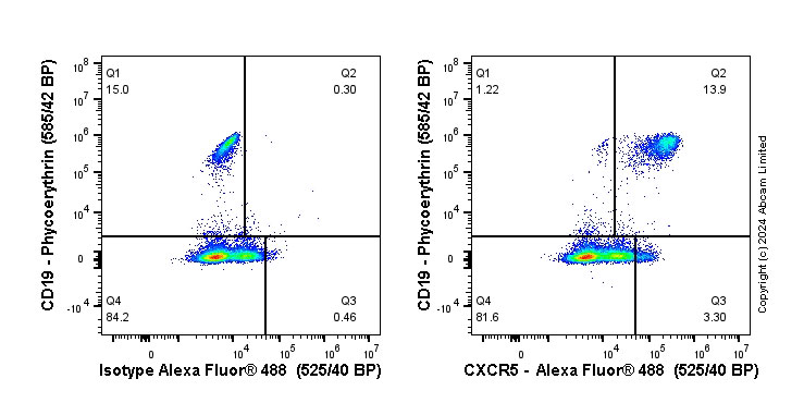 Flow Cytometry - Anti-CXCR5 antibody [EPR23463-30] - BSA and Azide free (ab272936), expandable thumbnail