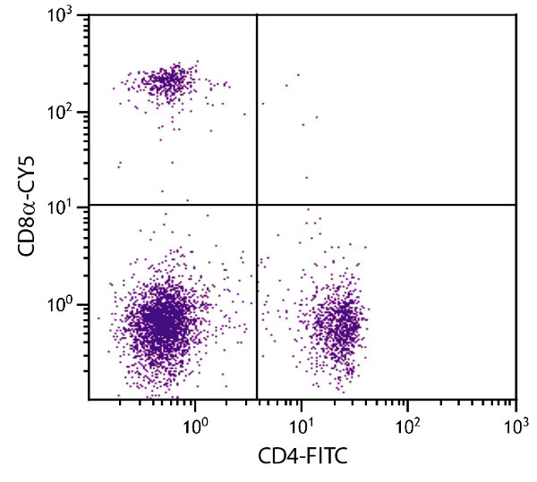 Flow Cytometry - Cy5 ® Anti-CD8 alpha antibody [53-6.7] (AB39850)