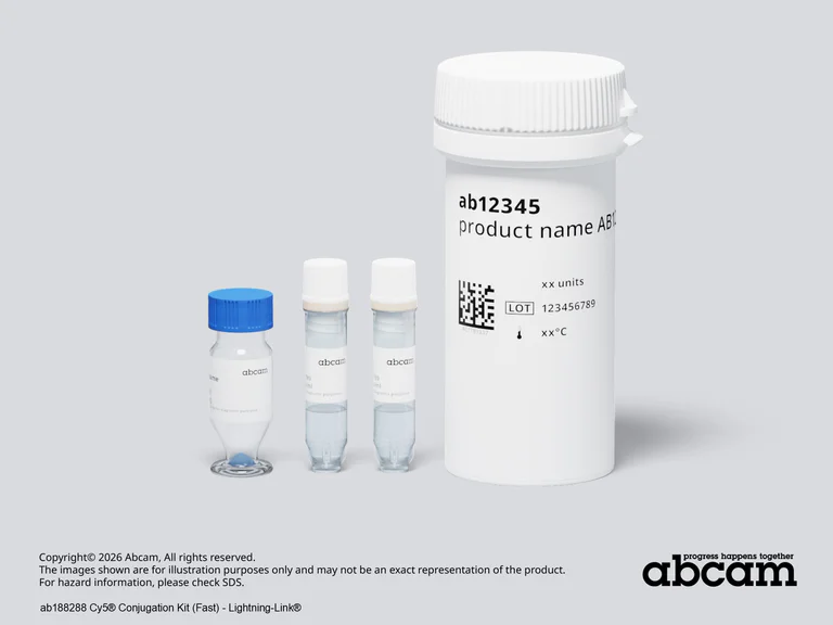 Other - Cy5® Conjugation Kit (Fast) - Lightning-Link® (AB188288)