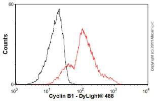 Flow Cytometry (Intracellular) - Anti-Cyclin B1 antibody [Y106] (AB32053)