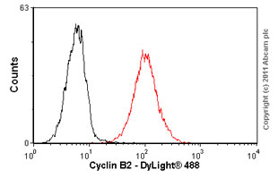 Flow Cytometry - Anti-Cyclin B2/CCNB2 antibody [X29.2] (AB18250)