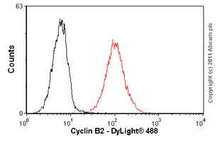 Flow Cytometry - Anti-Cyclin B2/CCNB2 antibody [X29.2] (AB18250)