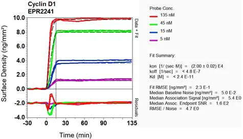 OI-RD Scanning - Anti-Cyclin D1 antibody [EPR2241] - BSA and Azide free (AB156448)