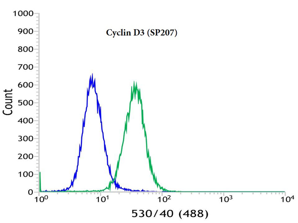 Flow Cytometry (Intracellular) - Anti-Cyclin D3/CCND3 antibody [SP207] (ab183338), expandable thumbnail