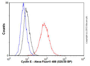 Flow Cytometry (Intracellular) - Anti-Cyclin E1 antibody [EP435E] - BSA and Azide free (ab208696), expandable thumbnail