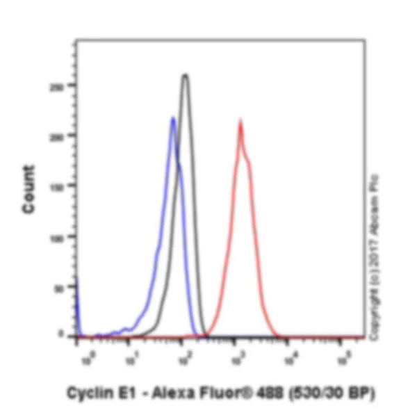 Flow Cytometry (Intracellular) - Anti-Cyclin E1 antibody [EPR194] - BSA and Azide free (AB208695)