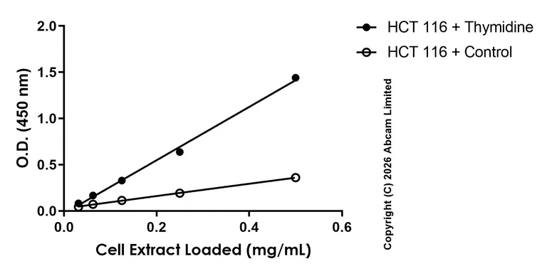 Sandwich ELISA - Anti-Cyclin E1 antibody [EPR20777-118] - BSA and Azide free (Detector) (AB244991)