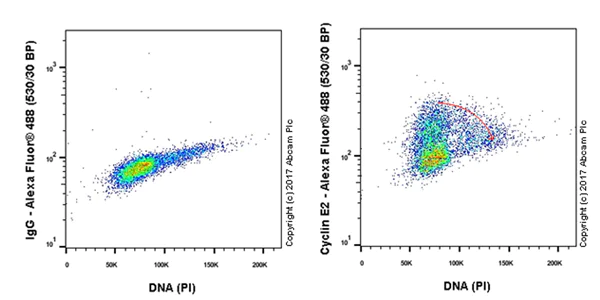 Flow Cytometry (Intracellular) - Anti-Cyclin E2 antibody [EP454Y] (AB40890)