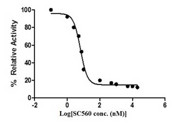 Inhibition Assay - Cyclooxygenase 1 (COX1) Inhibitor Assay Kit (Fluorometric) (AB204698), expandable thumbnail