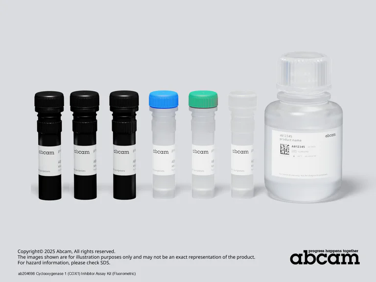 Schematic Diagram - Cyclooxygenase 1 (COX1) Inhibitor Assay Kit (Fluorometric) (AB204698)