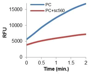 Functional Studies - Cyclooxygenase (COX) Activity Assay Kit (Fluorometric) (AB204699)
