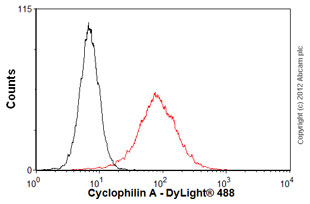 Anti-Cyclophilin A antibody [1F4-1B5]