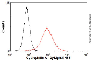 Flow Cytometry - Anti-Cyclophilin A antibody [1F4-1B5] (AB58144)